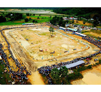 Tưng bừng Lễ hội đua bò Bảy Núi cùng Number 1 Cola