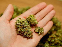 Ketamine khiến Châu Việt Cường 