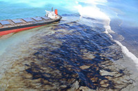 [ẢNH] Tình trạng khẩn cấp ở Mauritius sau sự cố tràn dầu