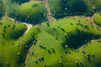 Đắm say với vẻ đẹp bất tận ở đồi chè Long Cốc