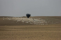 [ẢNH] Phiến quân Hồi giáo Yemen bất ngờ có vũ khí siêu hiện đại từ Mỹ