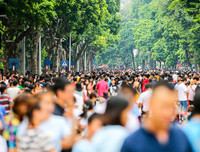 Hình ảnh ấn tượng, đậm chất Hà Nội trong ngày Tết Độc lập 2-9