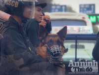 Chuyện ít biết về những 