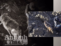 Chuyện ít biết về những 