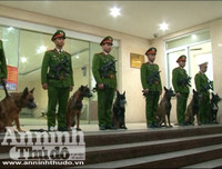 Chuyện ít biết về những 