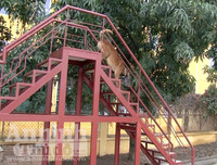 Chuyện ít biết về những 