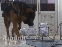 Chuyện ít biết về những 