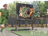 Chuyện ít biết về những 