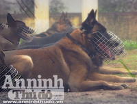 Chuyện ít biết về những 