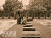 Chuyện ít biết về những 