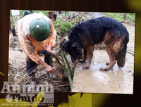 Chuyện ít biết về những 