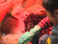 Chuyện ít biết về những 