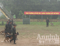 Chuyện ít biết về những 