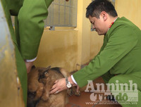 Chuyện ít biết về những 