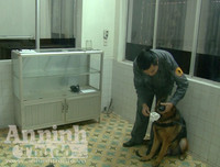 Chuyện ít biết về những 