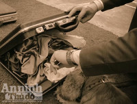 Chuyện ít biết về những 