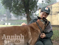 Chuyện ít biết về những 