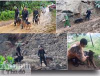 Chuyện ít biết về những 