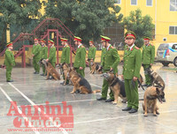 Chuyện ít biết về những 