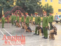 Chuyện ít biết về những 
