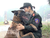 Chuyện ít biết về những 