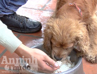 Chuyện ít biết về những 