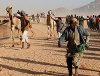 Thú vị xem cuộc đua lạc đà khốc liệt và... bụi mù