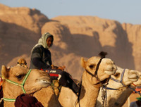 Thú vị xem cuộc đua lạc đà khốc liệt và... bụi mù