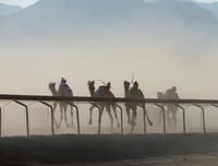 Thú vị xem cuộc đua lạc đà khốc liệt và... bụi mù