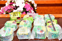 Toàn cảnh vụ phá đường dây ma túy khủng xuyên quốc gia, ngụy trang trong xe container