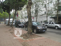 [ẢNH] Mật vụ và đặc nhiệm Mỹ thư thái vì an ninh tại Hà Nội 