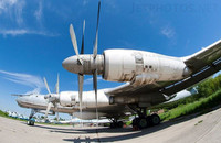 [ẢNH] B-52 Mỹ tới Châu Âu, Nga điều máy bay săn ngầm cực mạnh Tu-142 lên thám sát