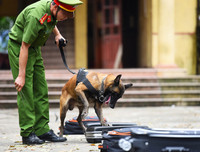 Cảnh khuyển tranh tài tấn công tội phạm, phát hiện thuốc nổ