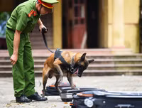 Cảnh khuyển tranh tài tấn công tội phạm, phát hiện thuốc nổ