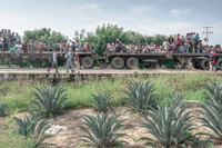 [ẢNH] Đau lòng những câu chuyện phía sau cuộc di cư ở Trung Mỹ