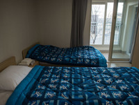 Những hình ảnh biểu tượng ít người biết về Thế vận hội Olympic Pyeongchang