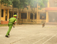 Cảnh khuyển tranh tài tấn công tội phạm, phát hiện thuốc nổ