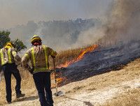 [ẢNH] Nắng nóng khủng khiếp 