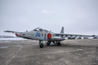 [ẢNH] Quân đội Ukraine nhận 