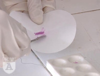 Cận cảnh hai chất ma tuý mới cực độc vừa bị phát hiện