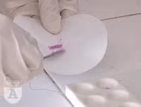 Cận cảnh hai chất ma tuý mới cực độc vừa bị phát hiện