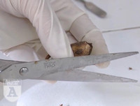 Cận cảnh hai chất ma tuý mới cực độc vừa bị phát hiện