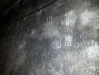 [ẢNH] 30 khuôn hình có 