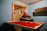 [ẢNH] Khám phá việc thu hoạch Saffron – 