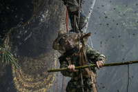 [ẢNH] Nghề không dành cho những người yếu tim: Lấy mật ong rừng ở Trung Quốc