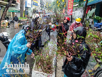 [ẢNH] Trời mưa, tiểu thương vứt bỏ đào quất, đường phố ngập xác hoa...