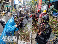 [ẢNH] Trời mưa, tiểu thương vứt bỏ đào quất, đường phố ngập xác hoa...