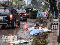 [ẢNH] Trời mưa, tiểu thương vứt bỏ đào quất, đường phố ngập xác hoa...