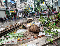 [ẢNH] Trời mưa, tiểu thương vứt bỏ đào quất, đường phố ngập xác hoa...