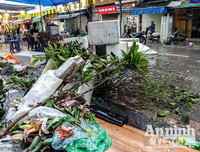 [ẢNH] Trời mưa, tiểu thương vứt bỏ đào quất, đường phố ngập xác hoa...